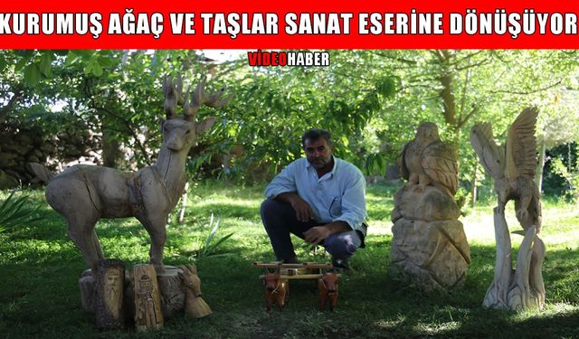 Varto’da kurumuş ağaç ve taşları sanat eserine dönüştürüyor