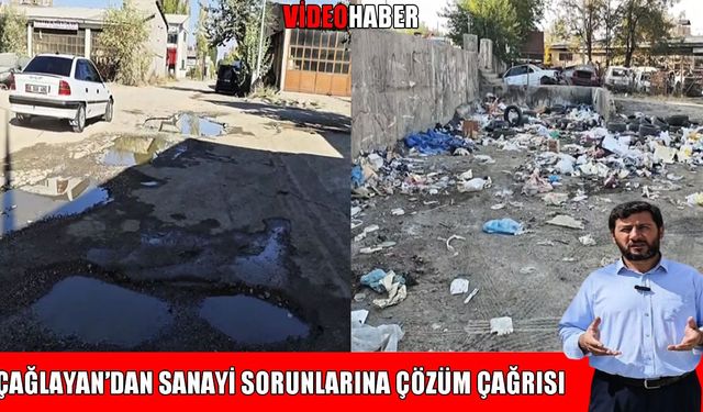 Muş Sanayi Sitesi'nin çilesi: Toz, çöp ve çukurlar esnafı bıktırdı
