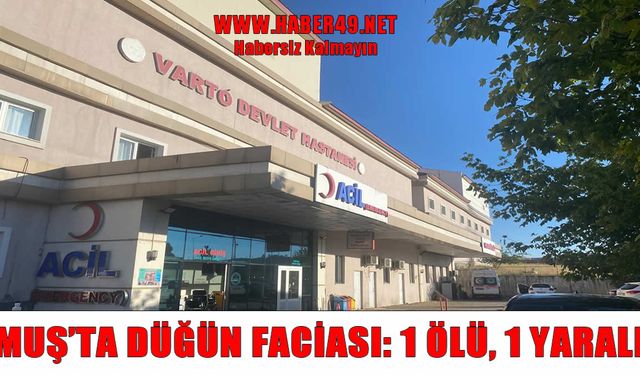 Varto'daki düğün faciası: 1 çocuk hayatını kaybetti, 1 kişi yaralandı