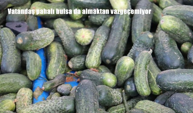 Vatandaş pahalı bulsa da almaktan vazgeçemiyor
