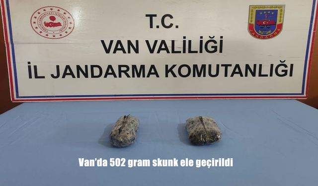 Van’da 502 gram skunk ele geçirildi