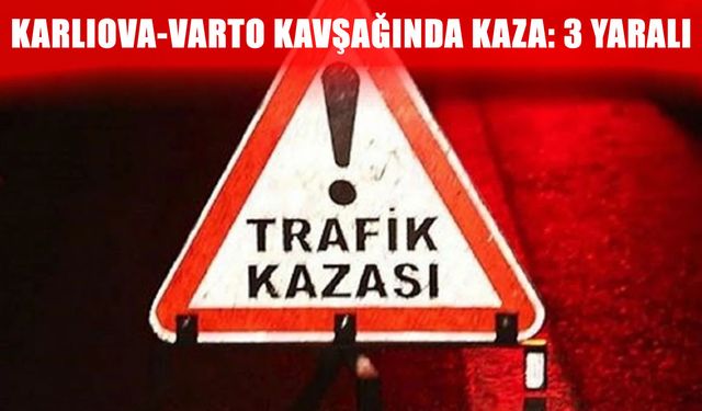 Muşlular Bingöl’de kaza yaptı: 3 yaralı