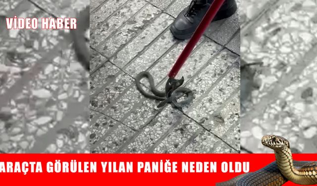Muş’ta aracın motoruna giren yılanı itfaiye ekipleri çıkarttı