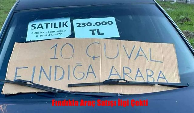 “10 Çuval Fındığa Audi” ilanı sosyal medyada viral oldu