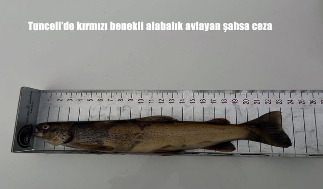 Bölge