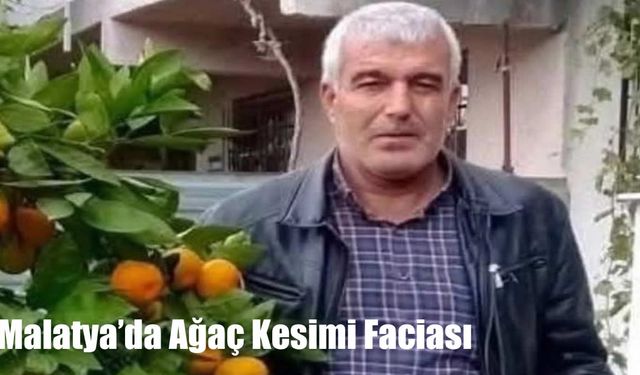 Malatya’da Ağaç Kesimi Faciası: Devrilen Ağaç Altında Kalan Adam Hayatını Kaybetti