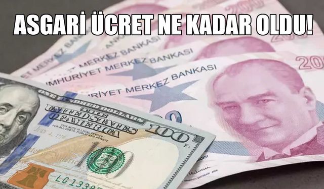 2026 Asgari Ücret Ne Kadar Olacak?