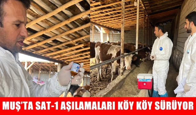 Muş’ta Sat-1 varyantına karşı aşılama çalışmaları sürüyor