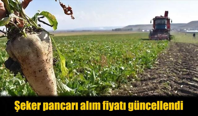 Şeker pancarı üreticilerine müjde