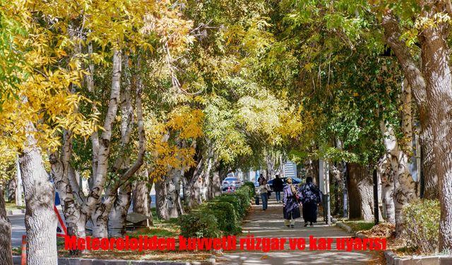 Erzurum ve Çevresine Kuvvetli Rüzgar ve Kar Uyarısı