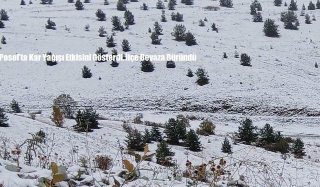 Posof’ta Kar Yağışı Etkisini Gösterdi, İlçe Beyaza Büründü