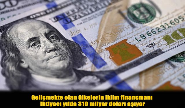 İklim Değişikliğine Uyumsuzluk, Gelişmekte Olan Ülkeleri Krize Sürüklüyor