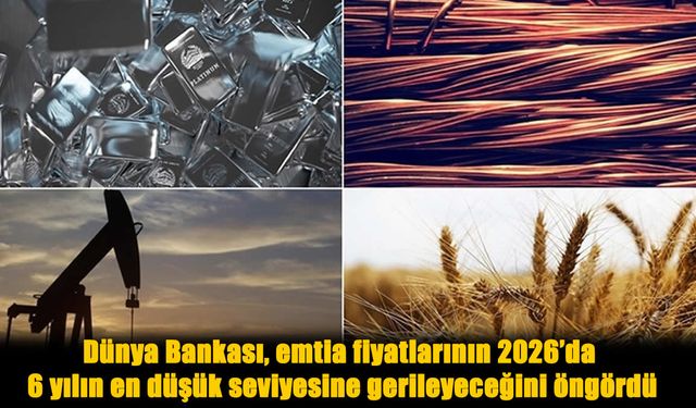 Küresel Emtia Krizi Kapıda: Fiyatlar 2026’da Dibe Vuracak