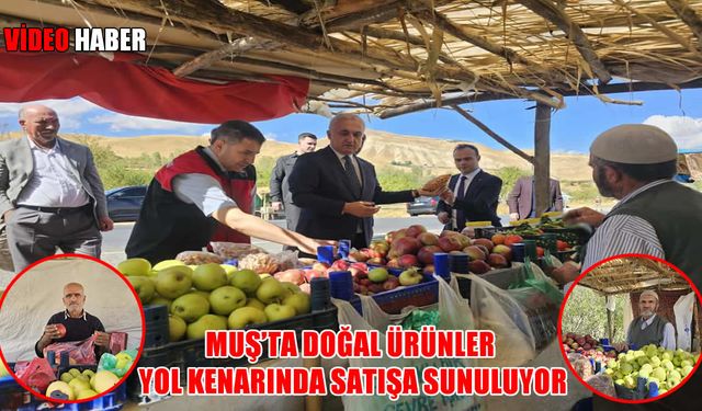 Hem doğal hem ekonomik: Muşlu köylüler tarlada yetiştirip yol kenarında satıyorlar