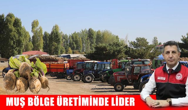 Muş üretimde ilk sırada: Şeker pancarı hasadı başladı