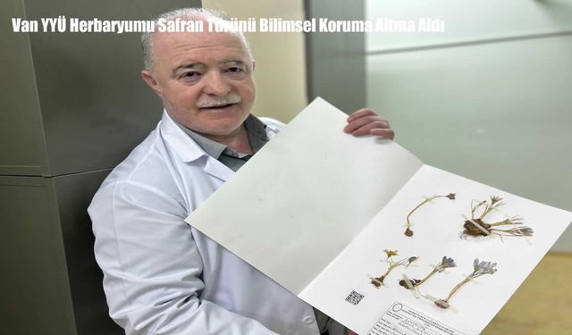 Van YYÜ Herbaryumu Safran Türünü Bilimsel Koruma Altına Aldı