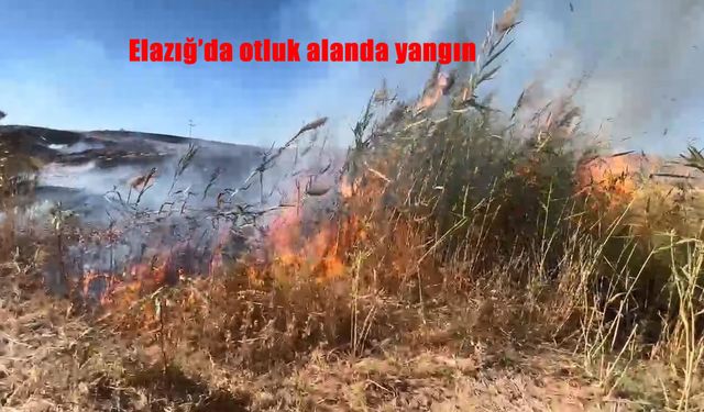 Elazığ'da otluk alanda yangın
