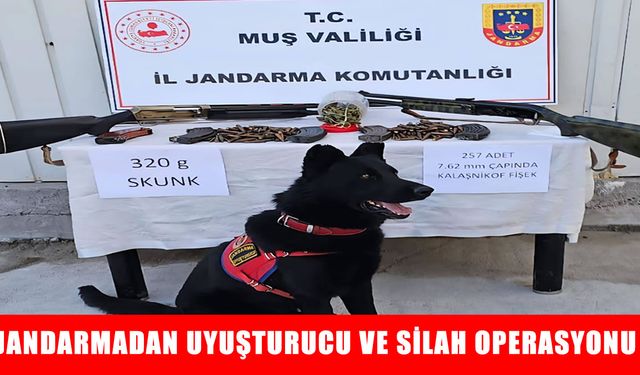 Varto’da çok sayıda silah ve uyuşturucu ele geçirildi