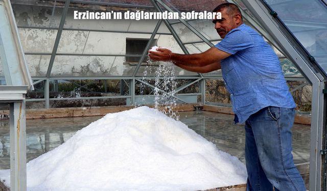 Erzincan’ın dağlarından sofralara