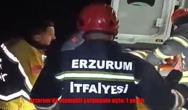 Otomobil şarampole uçtu: 1 yaralı