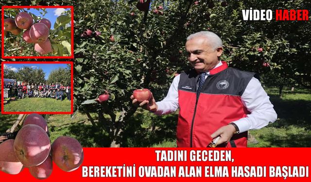 Muş’ta elma hasadı törenle başladı: 100 milyon TL gelir bekleniyor