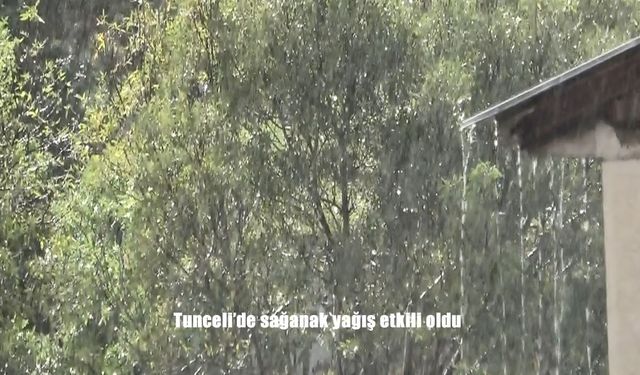 Tunceli’de sağanak yağış etkili oldu