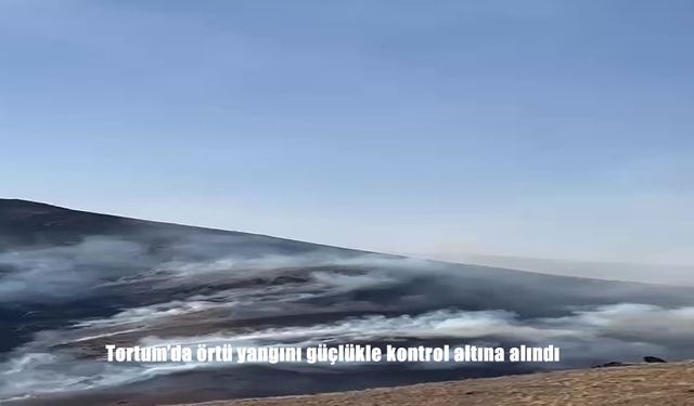 Tortum’da örtü yangını güçlükle kontrol altına alındı