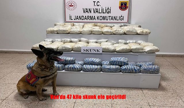 Van'da 47 kilo skunk ele geçirildi