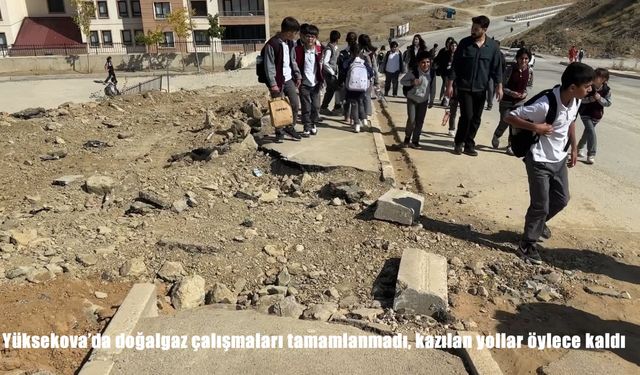 Yüksekova'da doğalgaz çalışmaları tamamlanmadı, kazılan yollar öylece kaldı