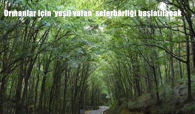 Yeşil Vatan İçin Tarihi Adım: Ormanları Koruma ve Fidan Seferberliği Başlıyor!