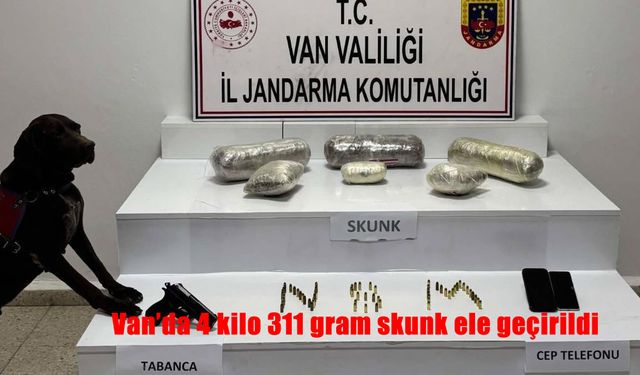 Van’da 4 kilo 311 gram skunk ele geçirildi