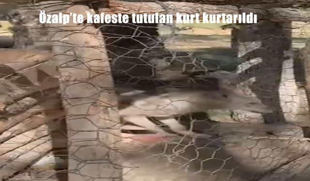 Özalp'te kafeste tutulan kurt kurtarıldı