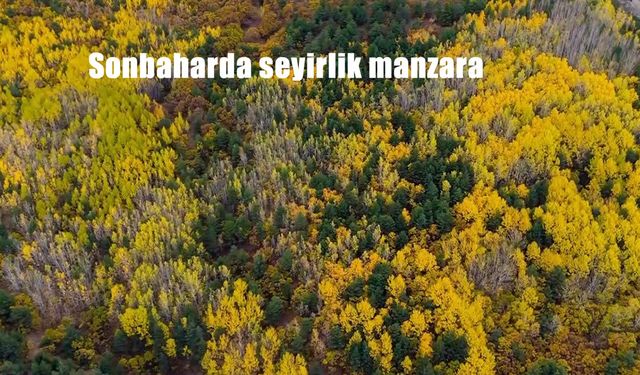 Sonbaharda seyirlik manzara