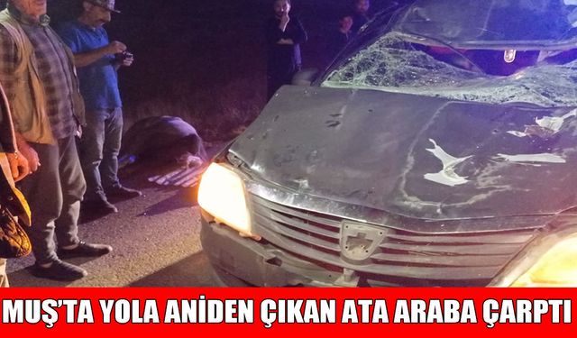 Muş’ta otomobilin çarptığı at telef oldu, 2 kişi yaralandı