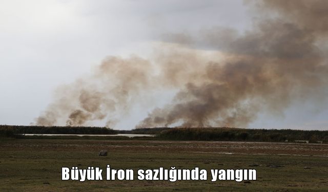 Muş ve Bitlis sınırları içerisinde bulunan İron Sazlığı’nda yangın