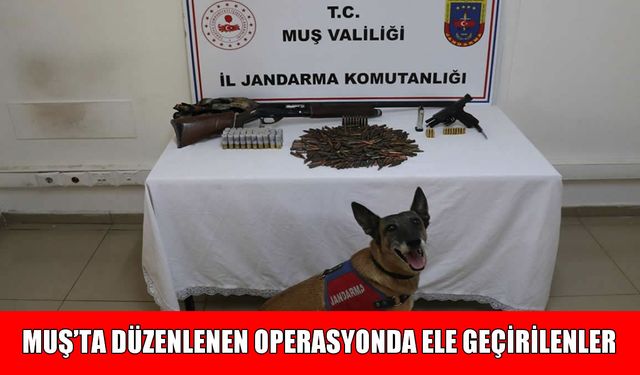 Muş’ta operasyon: Silah ve fişekler ele geçirildi