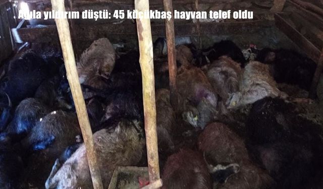 Elazığ’da Ağıla Yıldırım Düştü: 45 Küçükbaş Hayvan Telef Oldu