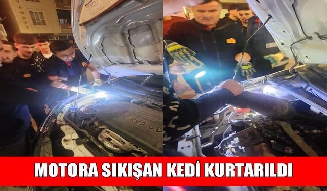 Muş’ta bir aracın motoruna sıkışan kedi kurtarıldı