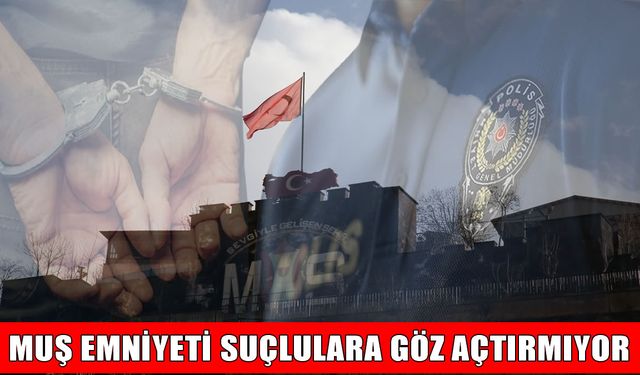 Muş Emniyeti 1 haftalık raporu açıkladı: 13 bin 521 kişi sorgulandı