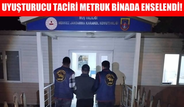 17 yıl hapis cezasıyla aranan uyuşturucu taciri, Muş’ta metruk binada kıskıvrak yakalandı!