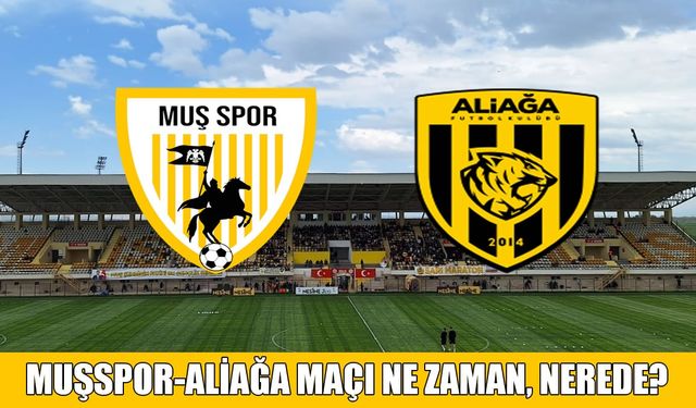 Muşspor- Aliağa karşılaşmasının canlı yayını var mı, hangi kanalda?
