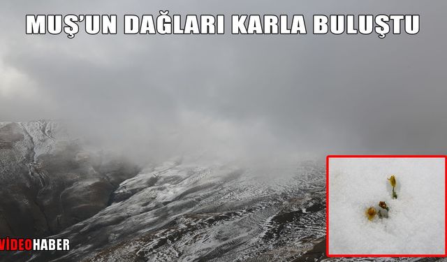 Muş’ta dağlar beyaza büründü!