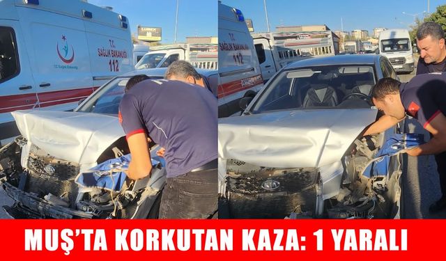 Muş’ta pikap ile otomobil çarpıştı: 1 yaralı