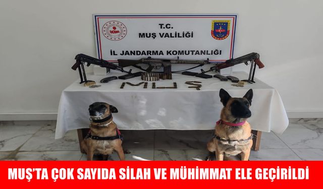 Muş’ta ruhsatsız silah operasyonu: Çok sayıda tüfek ve mühimmat ele geçirildi