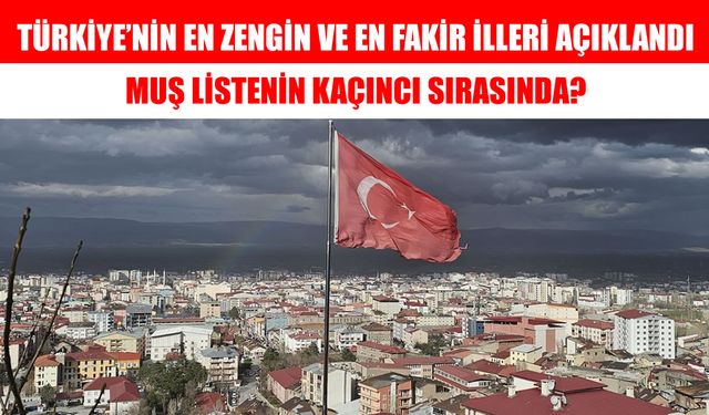 Türkiye’nin en zengin illeri açıklandı: Muş kaçıncı sırada?