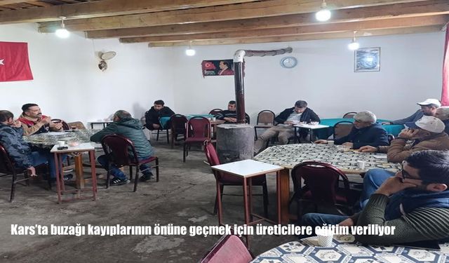 Kars’ta buzağı kayıplarının önüne geçmek için üreticilere eğitim veriliyor