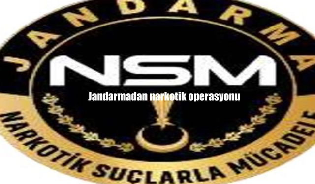 Jandarmadan narkotik operasyonu