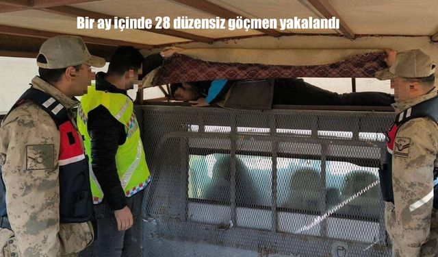 Bir ay içinde 28 düzensiz göçmen yakalandı