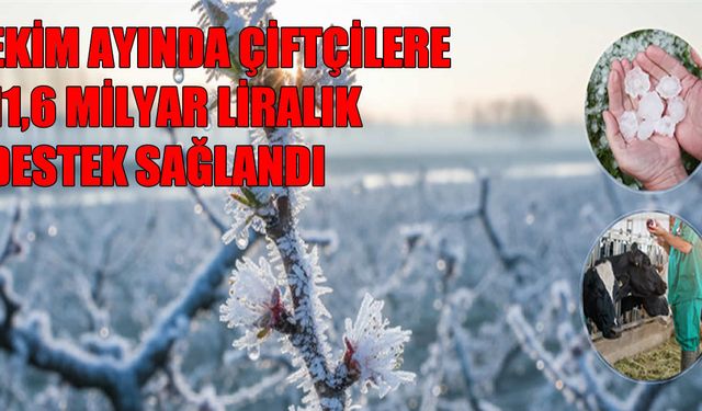 Ekim Ayında 11,6 Milyar Liralık Hasar Tazminatı Ödemesi Yapıldı