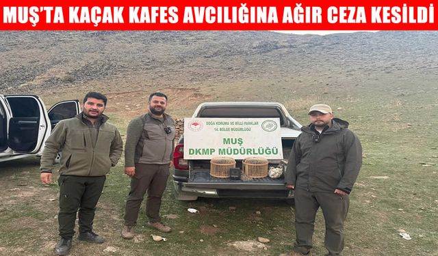 Muş’ta kaçak kafes avcılığı yapan şahıs suç üstü yakalandı